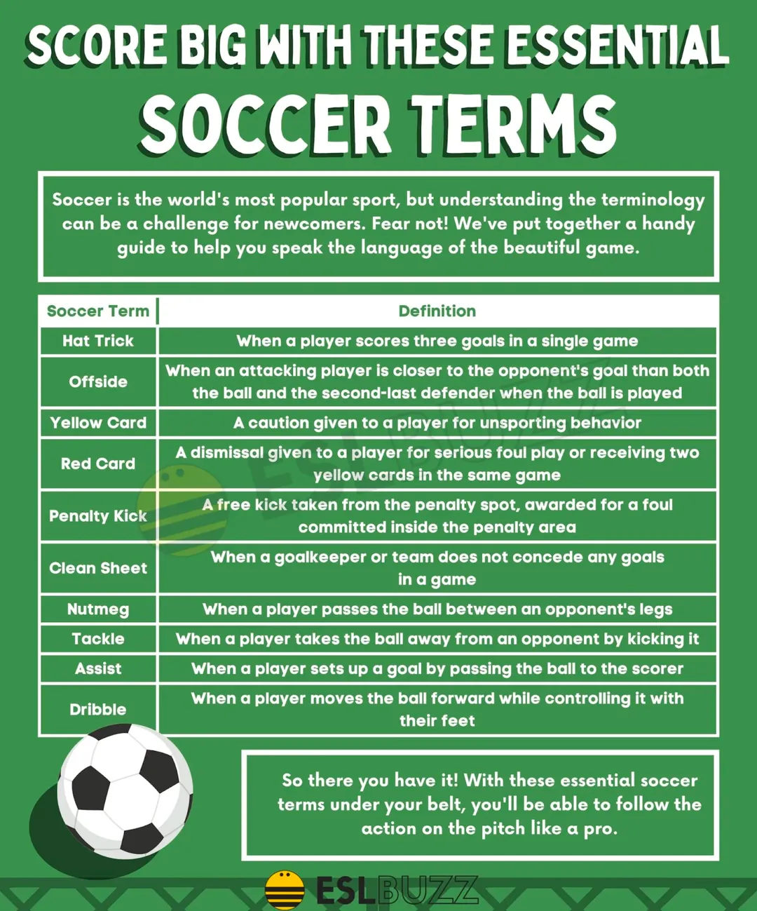 infographic of essential soccer terms and definitions